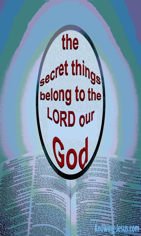 Deuteronomy 29:29 The Secret Things Of God (red)